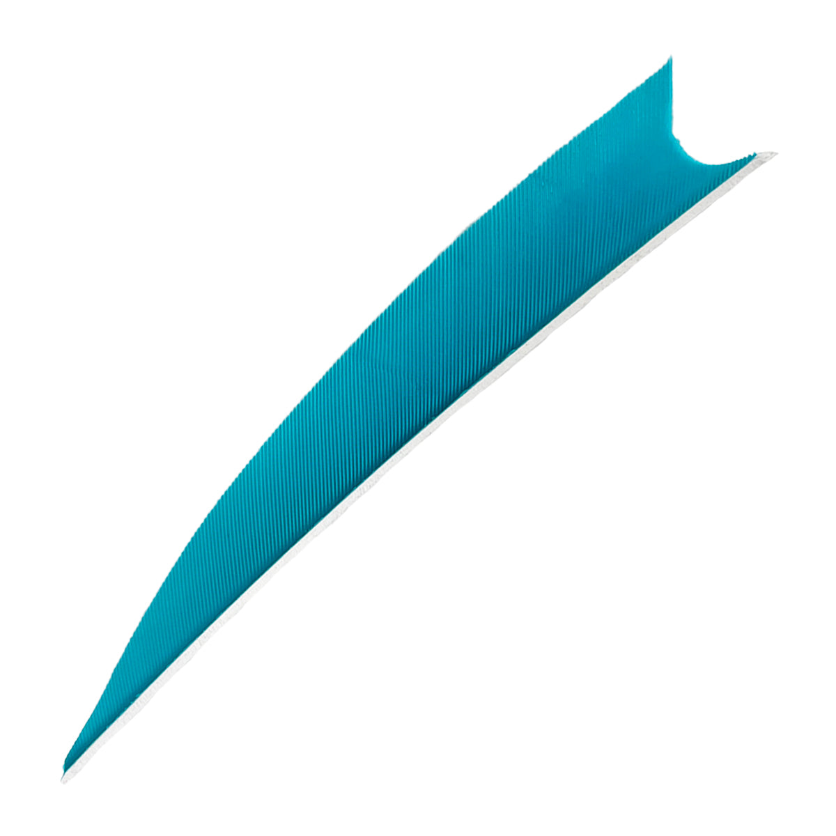 Feder RW Shark Solid