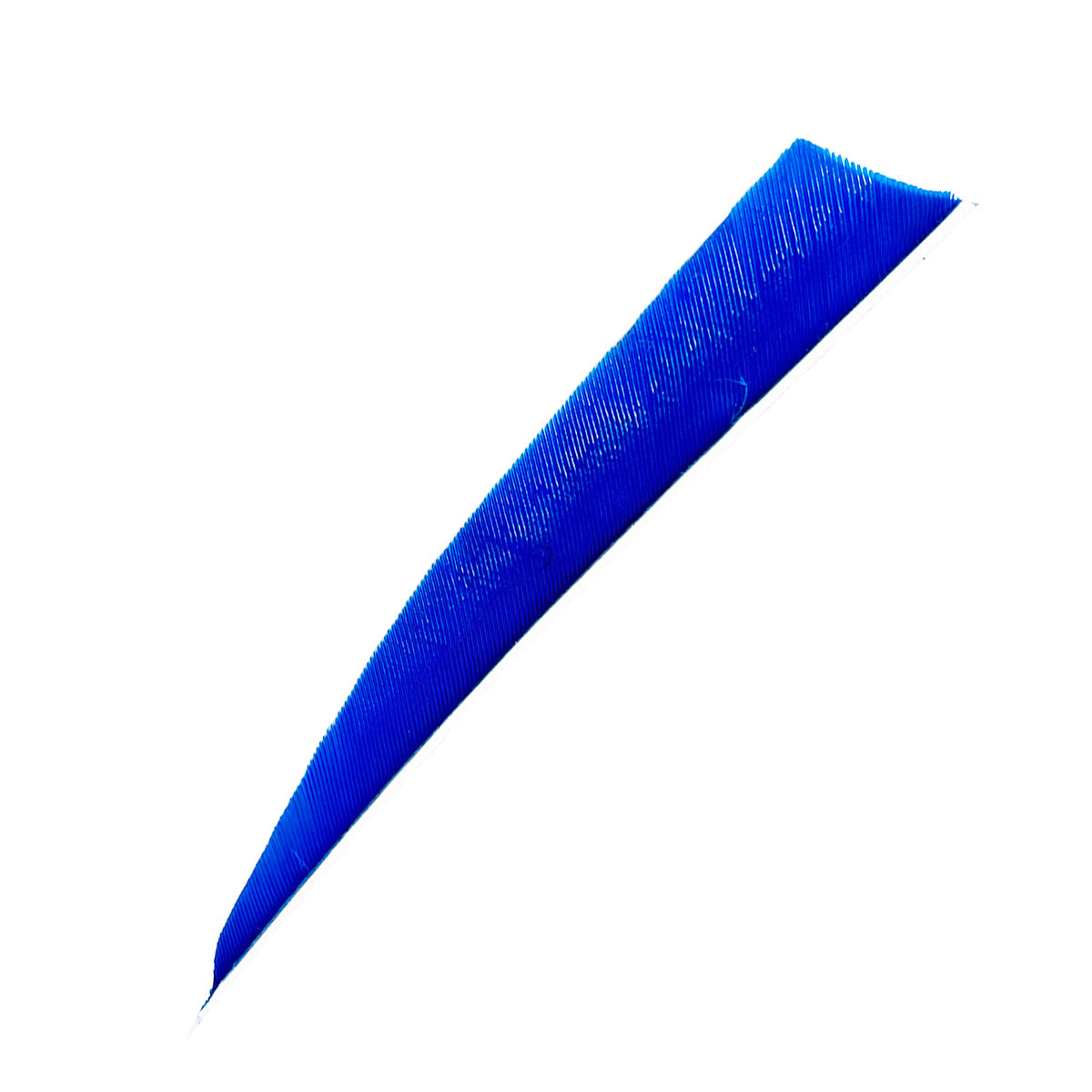 Feder RW Shield Solid
