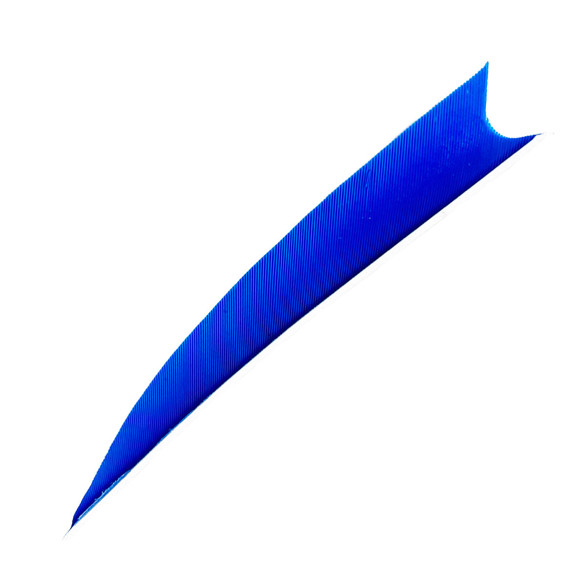 Feder RW Shark Solid